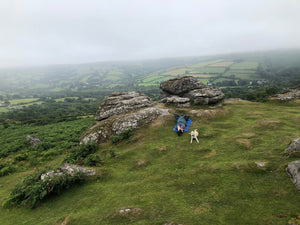 Bonehill and Widecombe