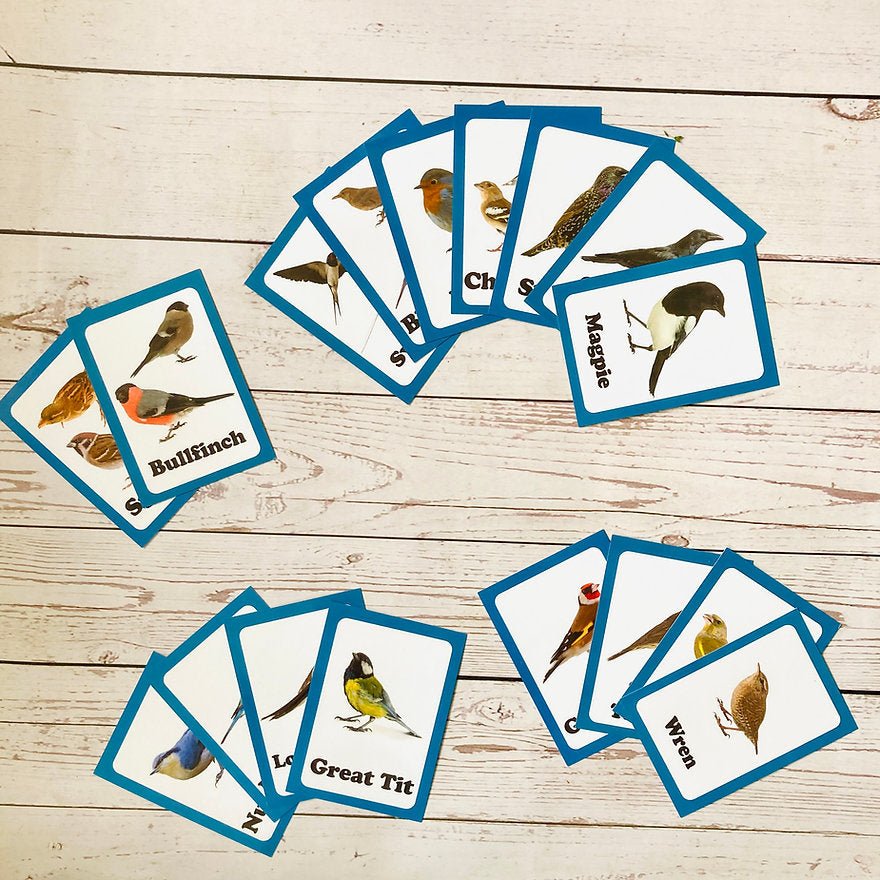Garden Birds Discovery Cards – Rubbastuff