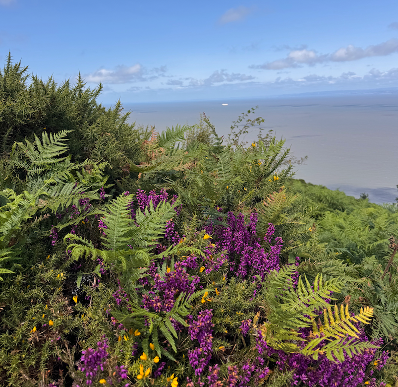 At the beginning - the South West Coast Path