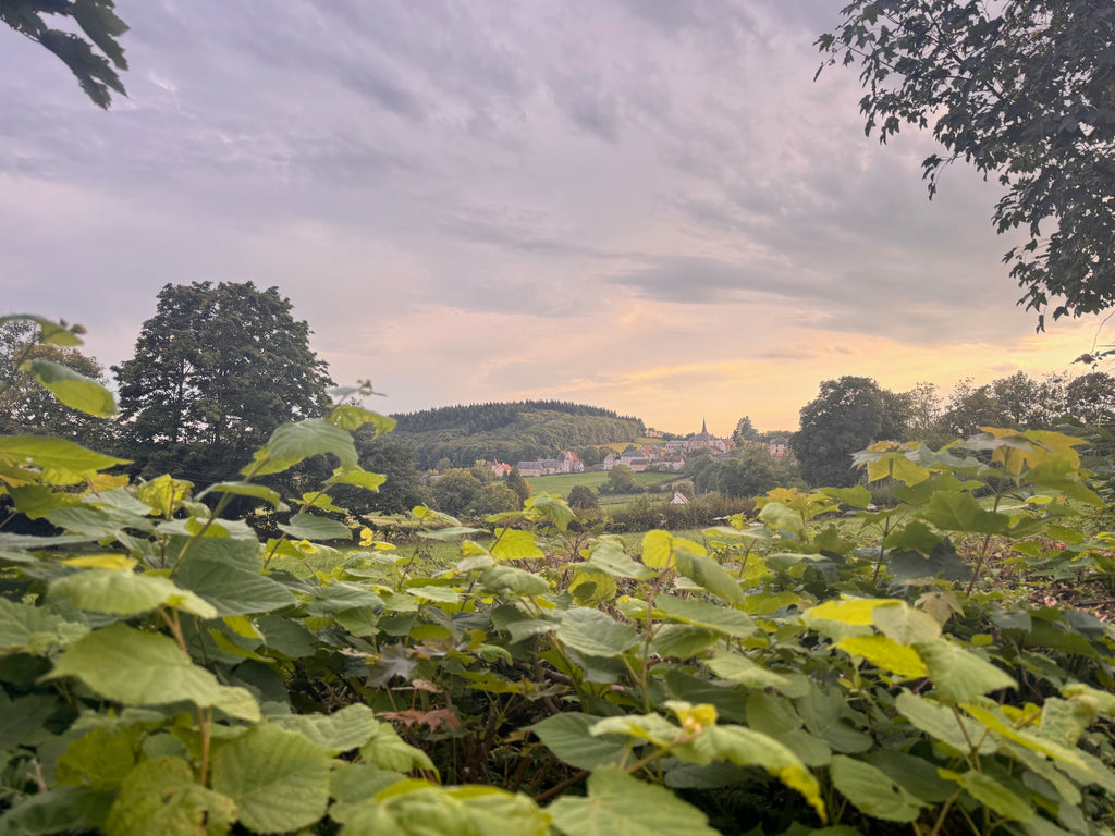 A long lunch out in Morvan National Park