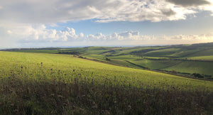 South Downs Sunday