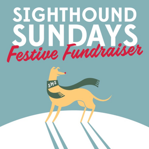 Sighthound Sundays Festive Fundraiser