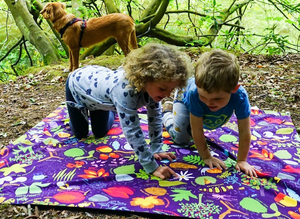 Nature picnic games