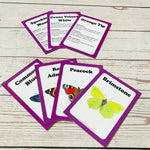 Butterfly Discover Cards