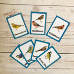 Garden Birds Discover Cards