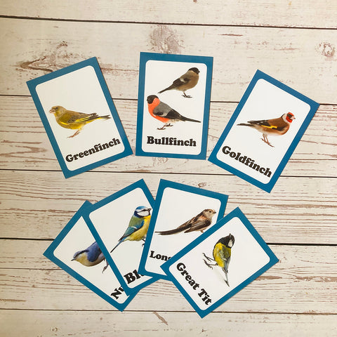 Garden Birds Discover Cards