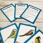 Garden Birds Discover Cards