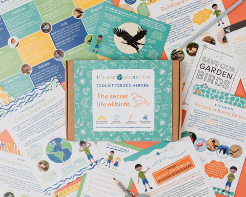 The Secret Life of Birds Kit