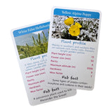 Top wildflowers awesome alpines