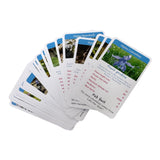 Top wildflowers awesome alpines