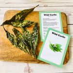 Foraging - Wild Herbs & Weeds