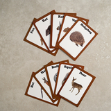 Animal Poo Cards