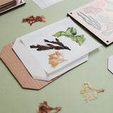 Seaweed Press