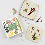 Seaweed Press