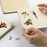 Seaweed Press