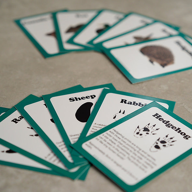 Animal Tracking – Rubbastuff
