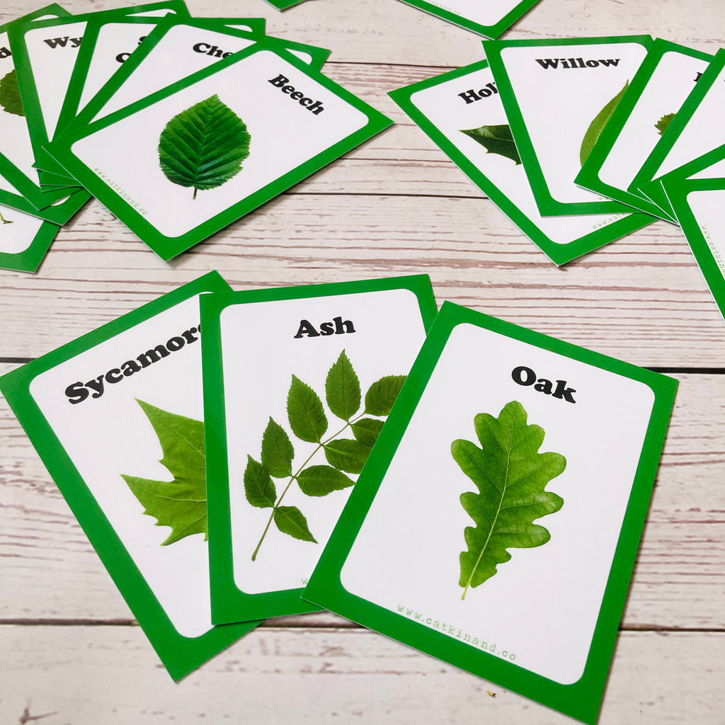 Double Pack Tree Leaf Identification Cards Rubbastuff