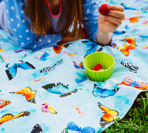 Lightweight Compact Machine Wash Butterfly Picnic Blanket Rubbastuff