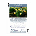 Wildflowers of Britain & Europe playing cards